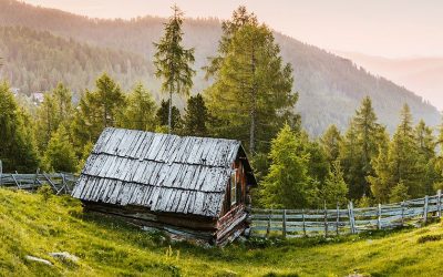 Giftorättsgods och enskild egendom