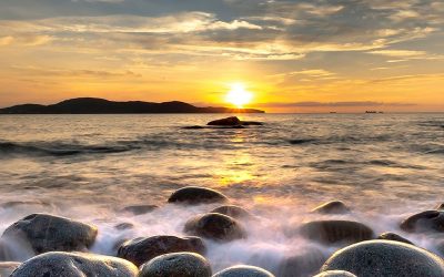 5 skäl att skriva äktenskapsförord